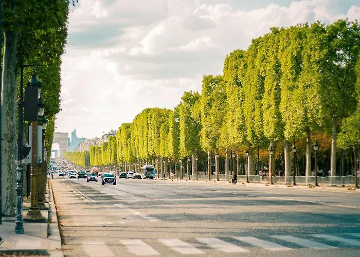 Moderne Champs-elysées - Saint Honoré *